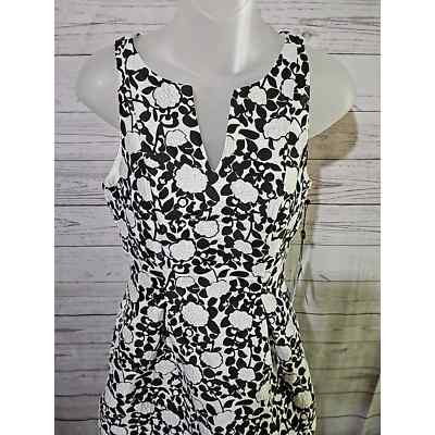 NWT Adrianna Papell Floral Jacquard Fit and Flare Dress Sz 0 NWT Adrianna Papell Floral Jacquard Fit and Flare Dress Sz 0
