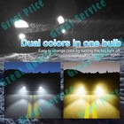 Bild 2 von 12