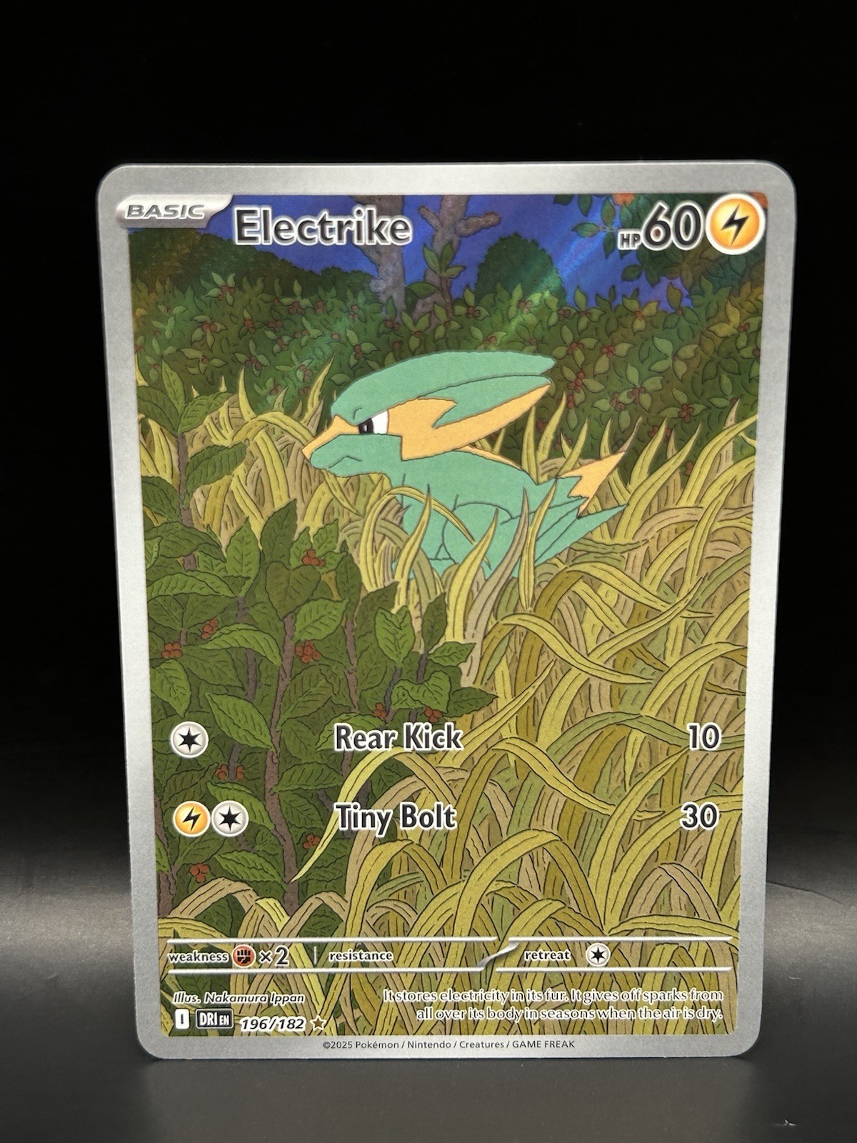 Electrike 196/182 - Pokemon Destined Rivals Card - NM