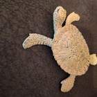 Vintage AAA Dinosaur And Sea Turtle Figurine Lot Of 4  — photo 6