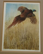 MYSTERY ARTIST ORIGINAL FLYING BIRD WATERCOLOR TAIL WIND SIGNED HUNTING WILDLIFE