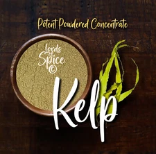 Pure Atlantic Kelp Powder Concentrated Premium Kelp - Made in USA - Free Ship