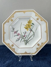 Spode Fine Bone China The Cabinet Collection Narcissus & Crowea Plate 9"