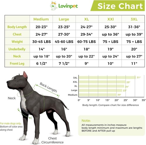 LovinPet Body für große Hunde nach der Operation Genesungsanzug Anti-Lecken Kleidung - Bild 2 von 6