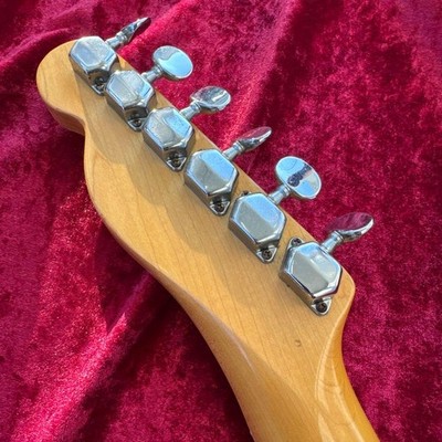 Serviced 70s JV Franpton Telecaster Thinline | eBay