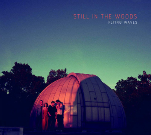Альбом Still in the Woods Flying Waves (CD)