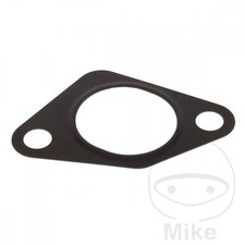 SIN MARCA Dichtung Steuerkettenspanner OEM