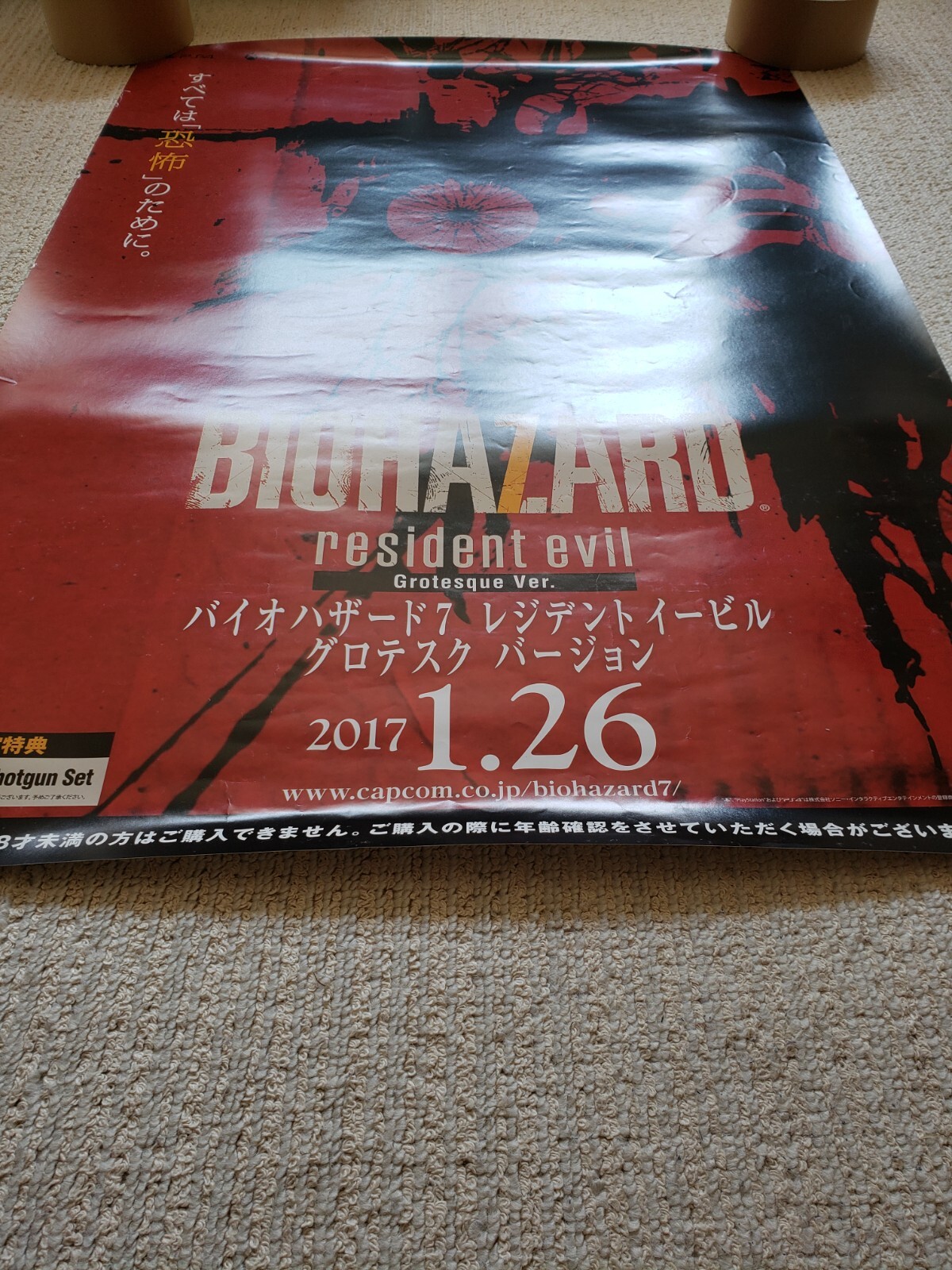 Picture 6 of 22