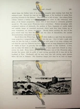 Ruins Of Tyre, Now Israel, Book Illustration (Print), 1890