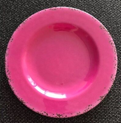 NWT ~ Set of 10 Ashland Summer Fiesta Salad Dessert Plate Pink Plastic ~ New 