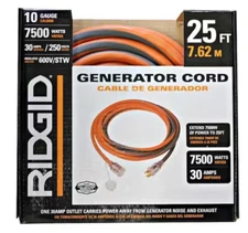 RIDGID 25 ft. Heavy Duty Indoor/Outdoor Generator Extension Cord w/ Lighted End