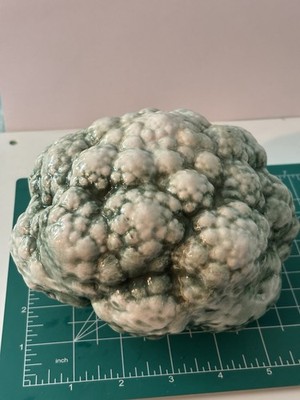 Ceramic Cauliflower Vegetable Country Cottage Farmhouse Decor (M)
