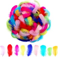 Colorful Feathers 300 Pcs for Crafting  DIY Decor