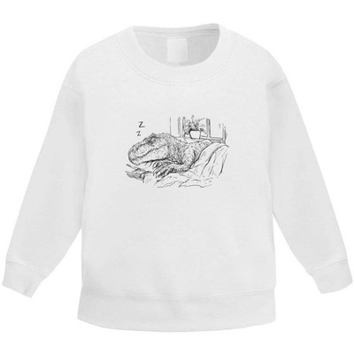 ''Dinosaurier schlafen'' Kinder Sweatshirt / Pullover / Pulli (KW057505)