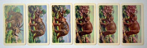 DINOSAURS Cards Series 5, 1963 Brooke Bond (U-Pick - Complete Your Set) - Picture 54 of 79