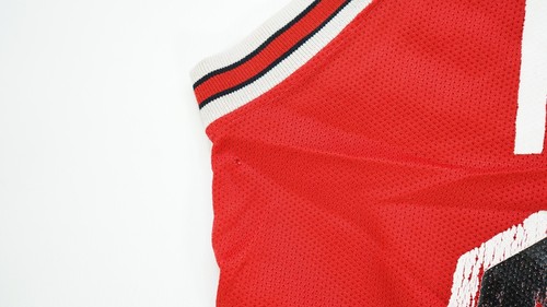 Rare Vintage CHAMPION Scottie Pippen Chicago Bulls NBA Basketball Jersey 90s 40 - Picture 10 of 16