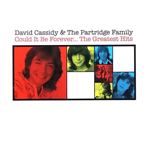 David Cassidy - Could It Be Forever... The Greatest Hits - Cd - G3Z-image