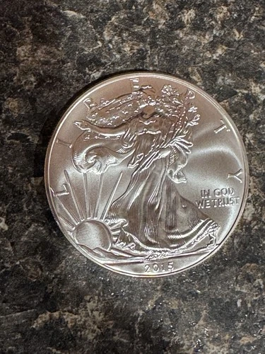 2015 American Silver Eagle US Mint Walking Liberty 1 Oz .999 Fine Uncirculated