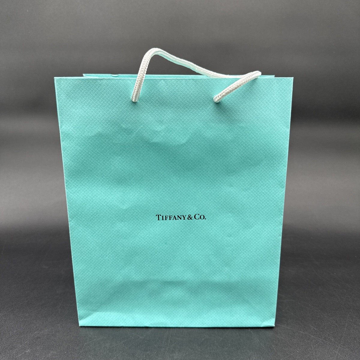 Authentic Tiffany & Co Paper Gift Bag 10