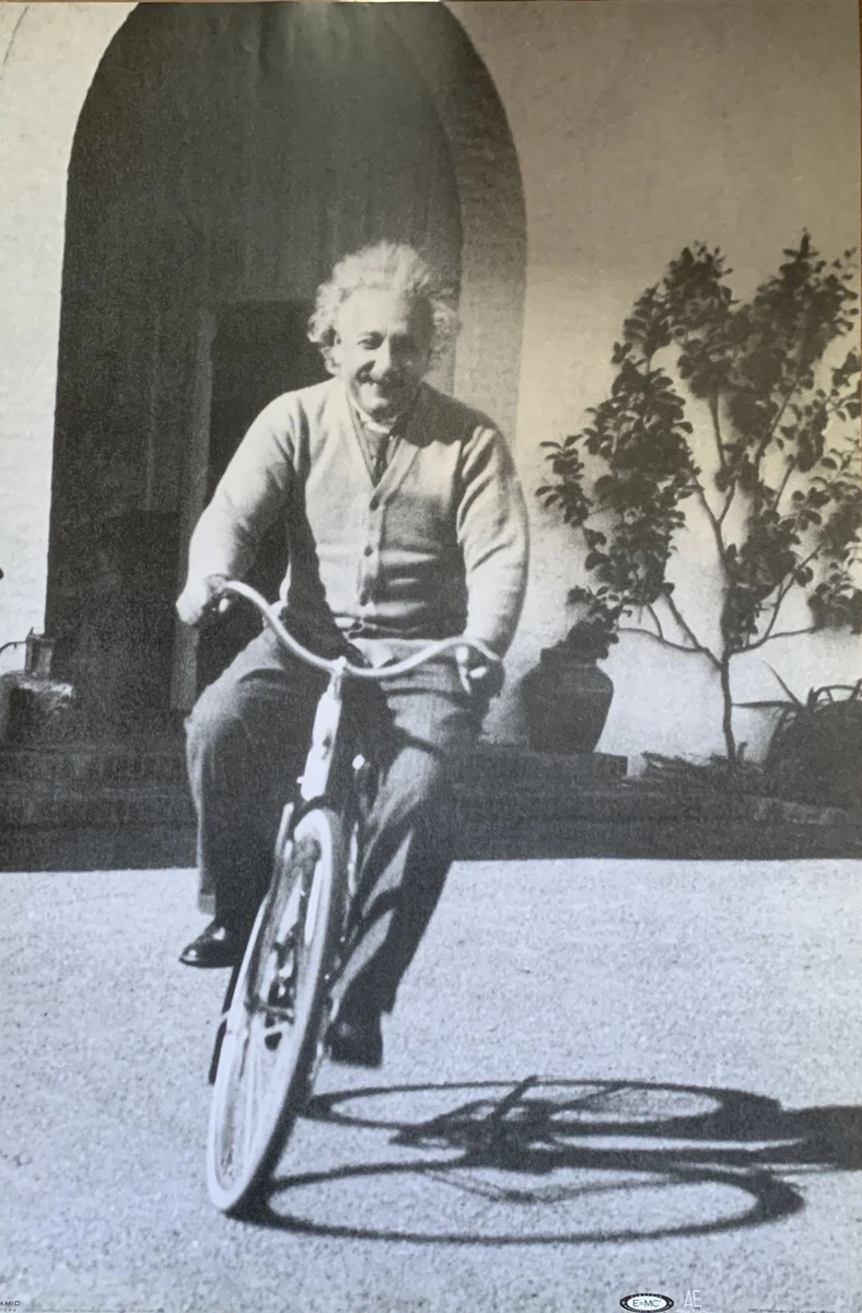 Albert einstein store bicycle