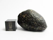 NWA 869 Meteorite 20.56g Beautiful Rock From Space