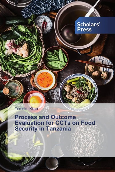 Tumsifu Kileo | Process And Outcome Evaluation For Ccts On Food Security In...-image