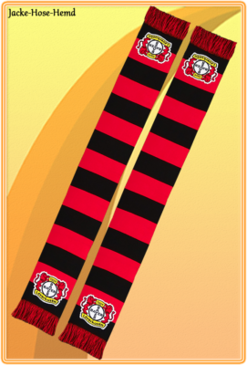 schal bayer leverkusen