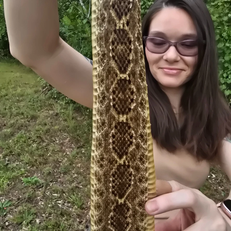 Rattlesnake skin hide pelt Leather Hide Western Diamond Back Costume Crafts - Image 4 of 4