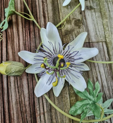 FLORISSIMA Große Blüten 1.70m Girlande Deko Outdoor Passionsblume Blumenranke Blütenranke