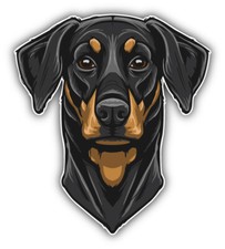 Doberman Pinscher Head Mascot Car Bumper Sticker Decal