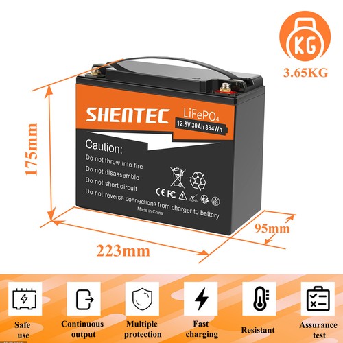 Batterie au lithium 12 V 200 Ah 150 Ah 100 Ah 50 Ah LiFePO4 batterie BMS installation solaire bateau camping-car - Photo 16/34