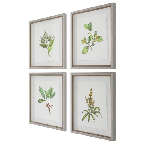 Uttermost Wildflower Study Plastic Paper Prints in Brown/Green/White (Set of 4) - Picture 3 of 7