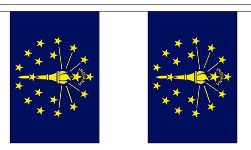INDIANA U.S. STATE BUNTING 9 metres 30 flags Polyester flag - 第 1/1 張圖片