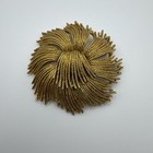 Foto 1 di 5