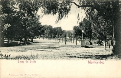 Ak Montevideo Uruguay, Paseo del Prado, Parklandschaft, Bäume,... - 4814318