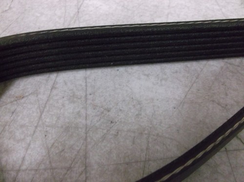 Cummins Belt, V Ribbed - Picture 2 of 3