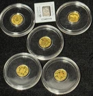 Lot of 6 Gold & Platinum Fractional Bullion .9999 Fine Gold/999.5 Pt