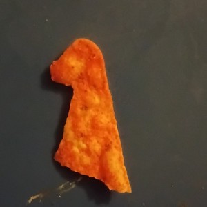 Dog Shaped dorito - Good boy shaped tortilla chip - Animal-Shaped Chip