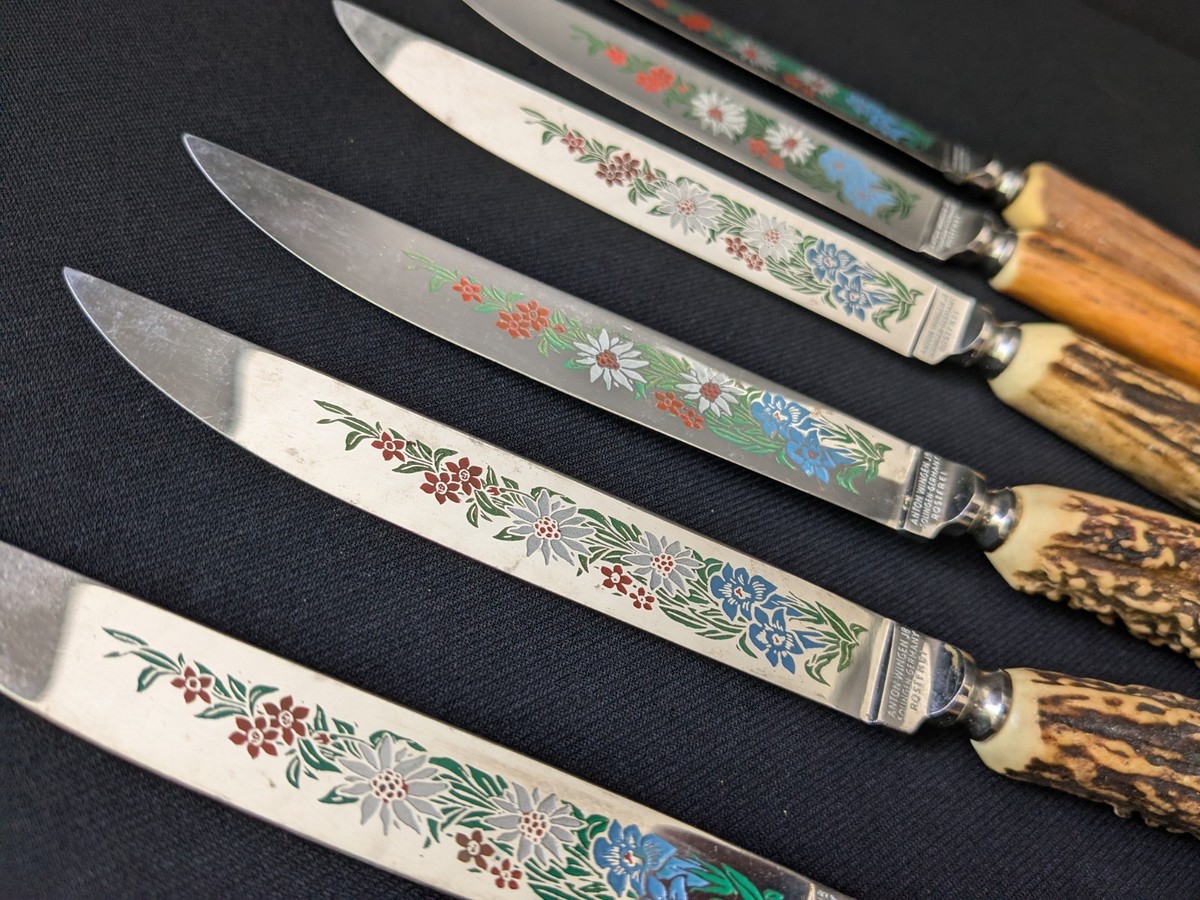 VTG Anton Wingen Jr. Colorful Floral Etched Knife Set Germany (Set