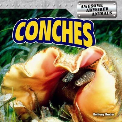 Conches Paperback Bethany Baxter