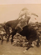 RPPC. P.K. Rodeo. Shorty Ricker On Bones Brown. Sheridan Wyo. 1926 - 40s (p5)