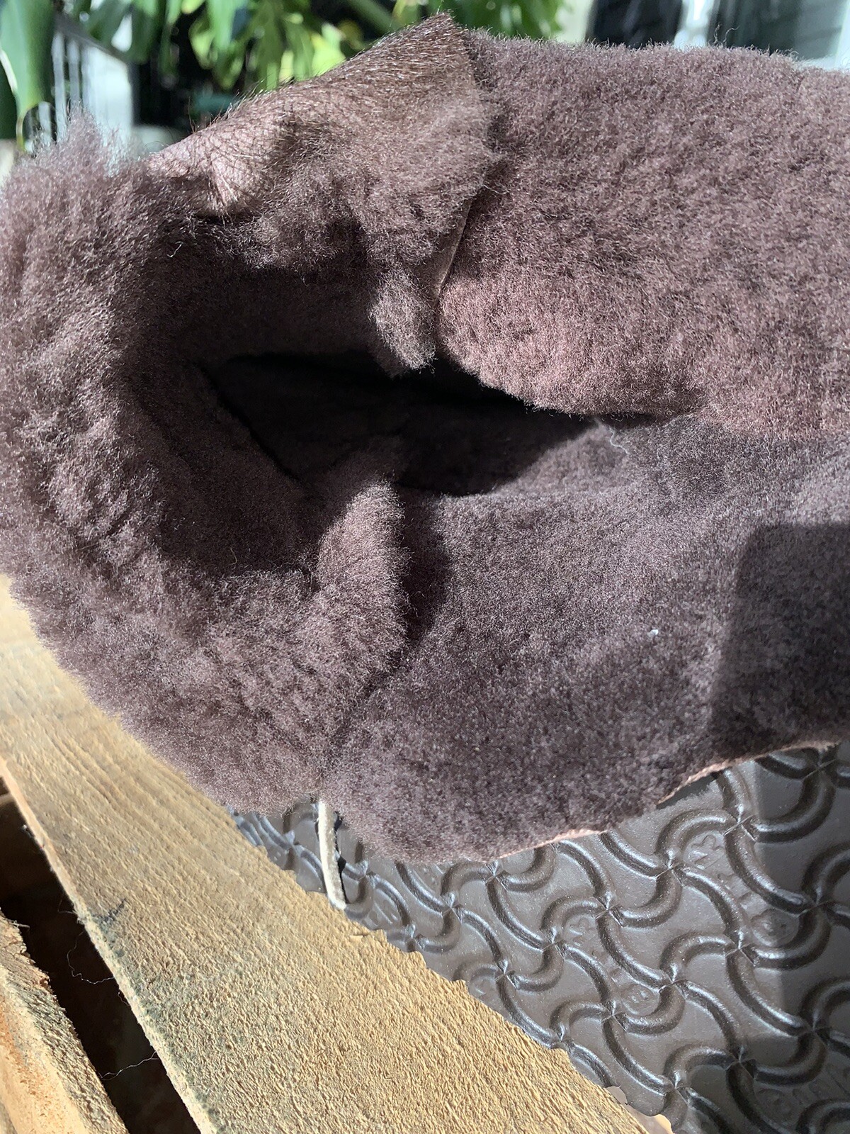 Picture 6 of 7