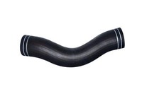 Bugiad 81682 Ladeluftschlauch Passend FüR Nissan