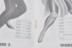 WORLD HEROES 2 Neo Geo AES NEOGEO SNK ADK