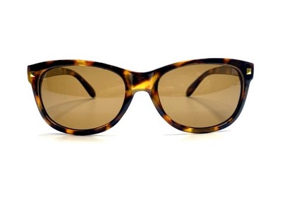 Foster Grant Brown Tortoise Gold Sunglass Brown Lens Sutton EG1119 55 17 140