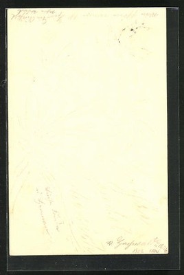 Paper Art Postcard A Bouquet Of Flowers 1902 