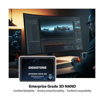 Gigastone Enterprise SSD 1TB NAS SSD Drive Cache 24/7 Durable TLC