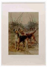 Graf Maud 1864 1943 Power Dog 1910 Foxhounds A3 A4 gerahmter Druck Bild