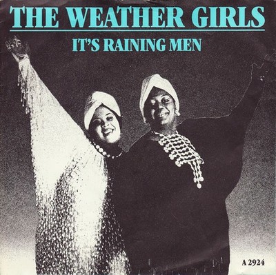 The Weather Girls - It's Raining Men 7 Inch Vinyl Single (7 Inch Record)  - N...