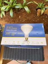 Two 500-Watt Incandescent R40 Pool Light Comp...